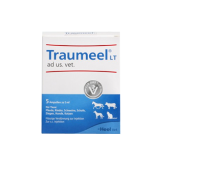 TRAUMEEL-LT-ad-us-vet-Ampullen